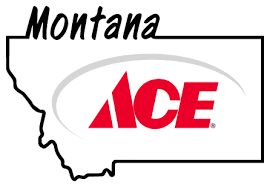 Ace